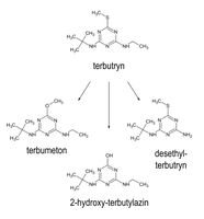 INUC_Terbutryn_TPs.png INUC_Terbutryn_TPs.png
